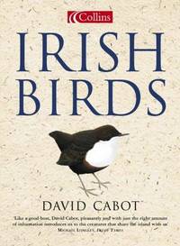 Irish Birds