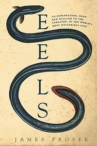 Eels (ISBN: 9780060566111)