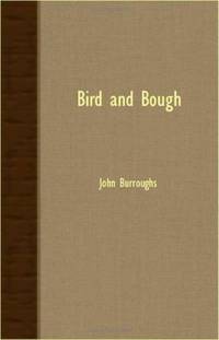 image of Bird And Bough