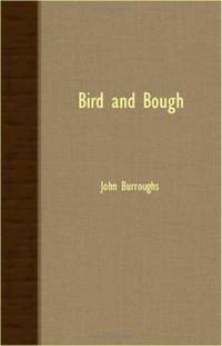 Bird and Bough -