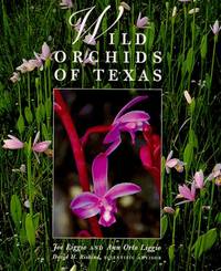 Wild Orchids Of Texas