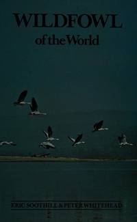 Wading Birds of the World