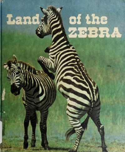 Zebra Ranger