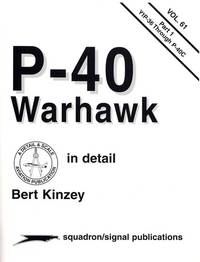 P-40 Warhawk Pt. 1 : In Detail