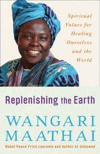 Replenishing the Earth: Spiritual Values for Healing Ourselves and the World