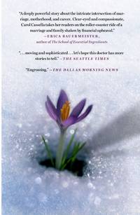 cover of Healer: A Novel