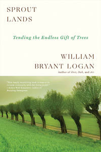 Sprout Lands: Tending the Endless Gift of Trees