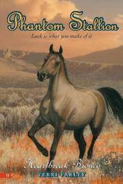 Heartbreak Bronco (Phantom Stallion, No. 13)