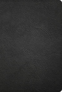 cover of