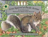 Gray Squirrel At Pacific Avenue