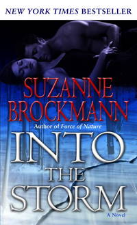 Into the Storm (Troubleshooters, Book 10)