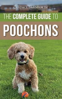 The Complete Guide To Poochons