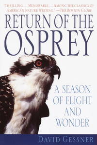 RETURN OF THE OSPREY: A Season of Flight and Wonder
