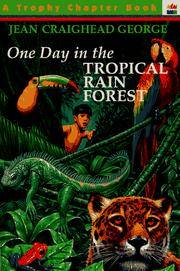 One Day In the Tropical Rain Forest