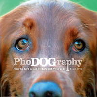 Phodography : How to Get Great Pictures of Your Dog