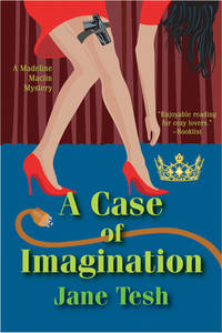 A Case of Imagination: A Madeline Maclin Mystery (Madeline Maclin Series)