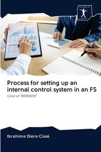 Process for setting up an internal control system in an FS: Case of BEREBEN