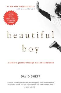 Beautiful Boy (ISBN: 9781613838198)