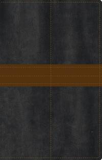 NIV, Bible for Men, Leathersoft, Gray/Tan: Fresh Insights for Thriving in Today's World
