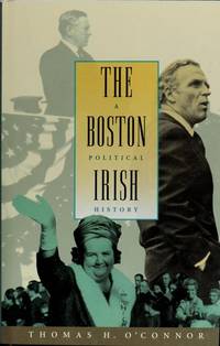 The Boston Irish a political history 1995 hardback