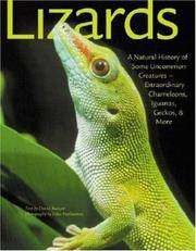 Lizards