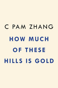 How Much of These Hills Is Gold: A Novel