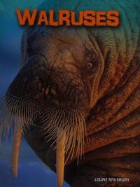 Walruses