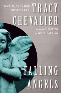 cover of Falling Angel