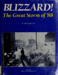 image of Blizzard: The Great Storm of 88