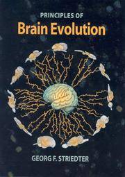 Principles of Brain Evolution by Georg F. Striedter - Hardcover - 1 - 2004-10-05 - from Ergodebooks (SKU: DADAX0878938206)