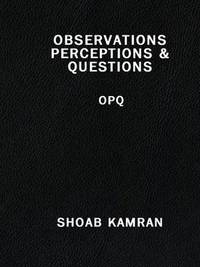 OBSERVATIONS PERCEPTIONS & QUESTIONS: OPQ