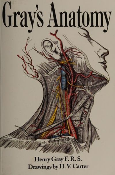 Gray's] Anatomy Descriptive and Surgical Fifteenth Edition by