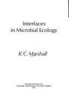 Interfaces in Microbial Ecology