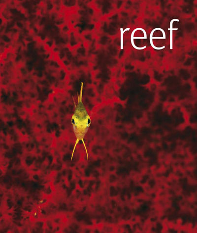 Reef: A Photographic Journey