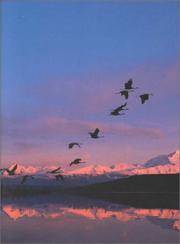 image of Biology: Concepts and Applications, 4th