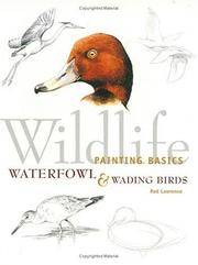 Wildlife Painting Basics: Waterfowl & Wading Birds