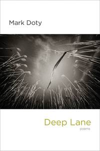 Deep Lane : Poems