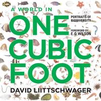 A World in One Cubic Foot: Portraits of Biodiversity