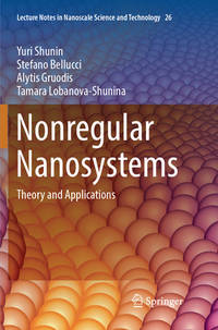 Nonregular Nanosystems: Theory and Applications: 26 (Lecture Notes in Nanoscale Science and...
