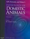 Jubb, Kennedy & Palmer's Pathology of Domestic Animals: 3-Volume Set