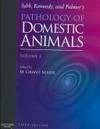 Jubb, Kennedy & Palmer's Pathology of Domestic Animals 3-Volume Set (Pathology