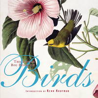 The Little Big Book of Birds (Little Big Books)