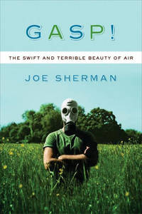 Gasp! The Swift & Terrible Beauty of Air