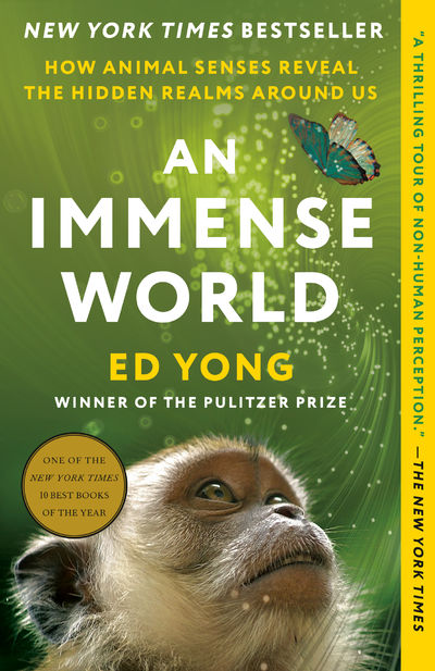 Immense World