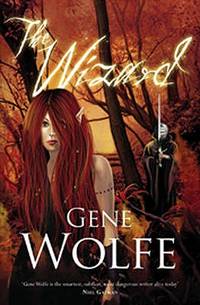 The Wizard (ISBN: 9780575080256)