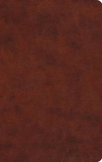 Large Print Value Thinline Bible-ESV