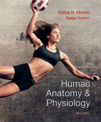 Human Anatomy &amp; Physiology (9th Edition) by Hoehn, Katja, Marieb, Elaine N - 2012-01-16