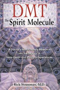 image of DMT: The Spirit Molecule: A Doctor's Revolutionary Research into the Biology of Near-Death and Mystical Experiences