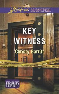 Key Witness (The Security Experts)