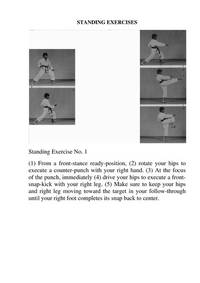 Elements of Advanced Karate/No. 440 (Literary links to the Orient)